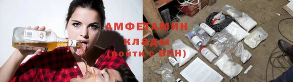 ПСИЛОЦИБИНОВЫЕ ГРИБЫ Лабытнанги