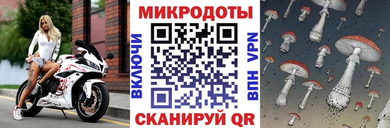 Галлюциногенные грибы Psilocybe  Купить закладки  Истра 