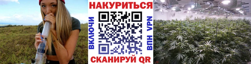 Купить  Истра  Бошки Шишки индика 